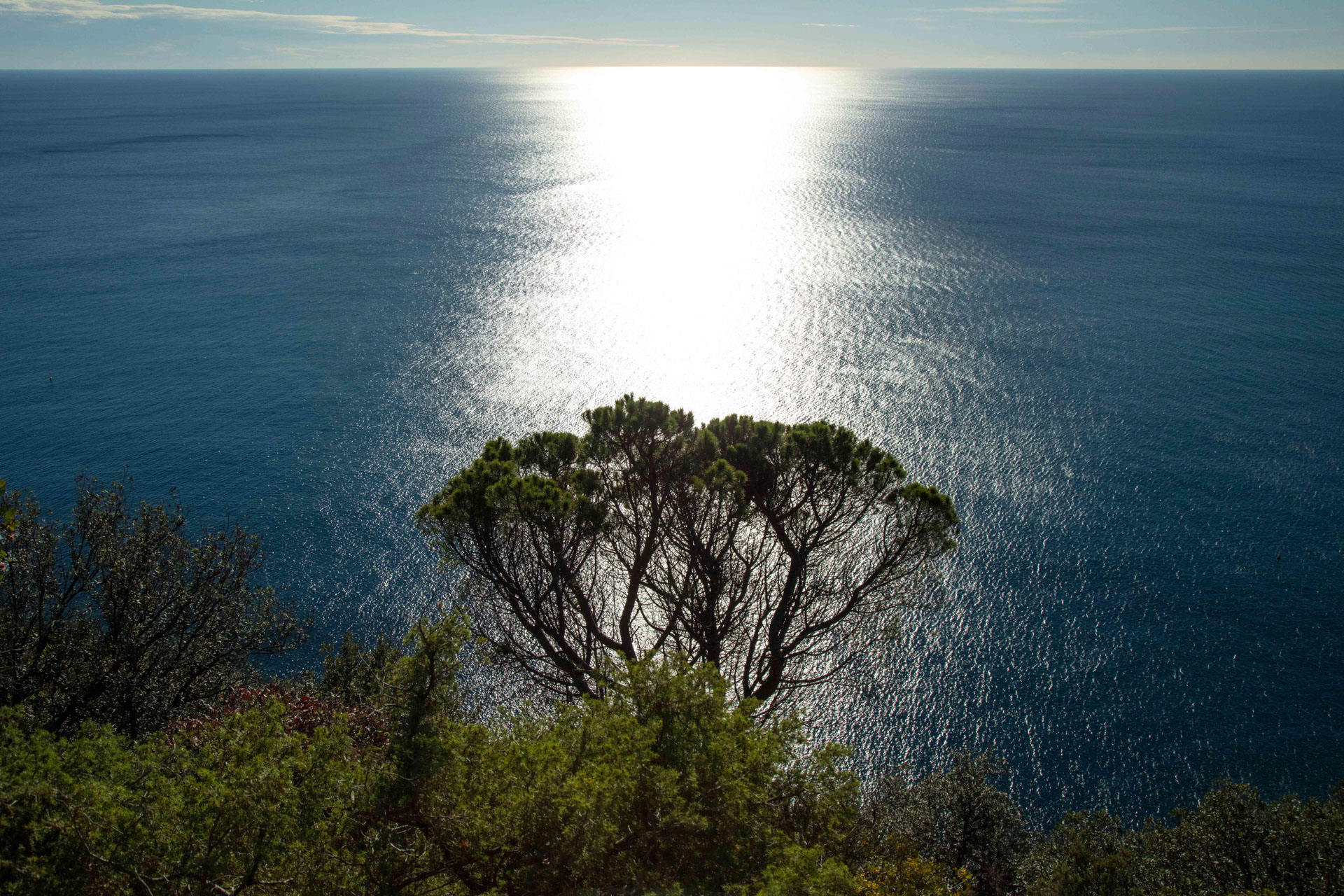Anello di Terrazza Rossini e Punta Mesco